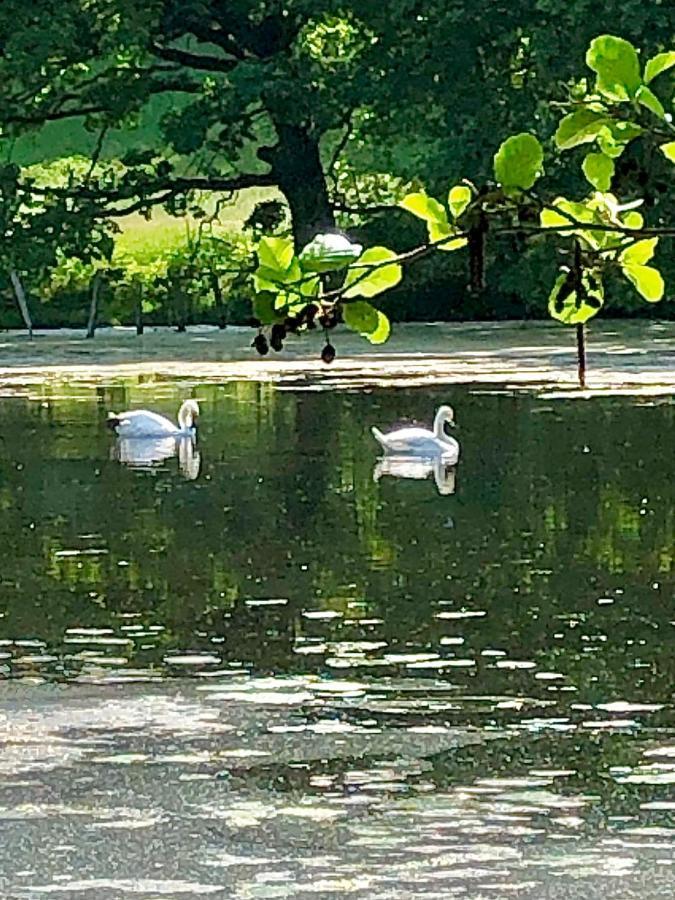 Ferienwohnungen Am Klusteich Goslar Eksteriør bilde